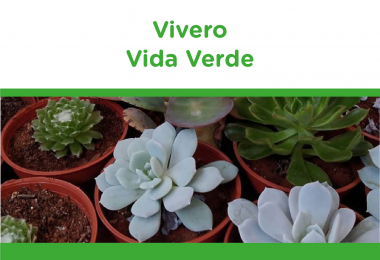 Vivero Vida Verde